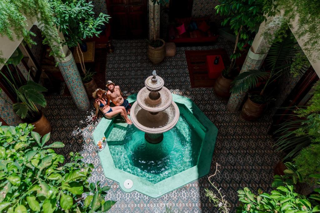 Abélia Riad image 1