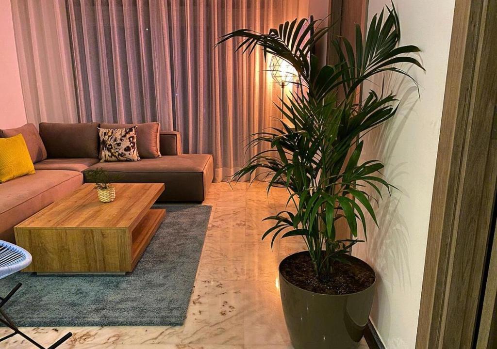 Amazing Flat in Gauthier - Breathtaking View - Best Location image 3