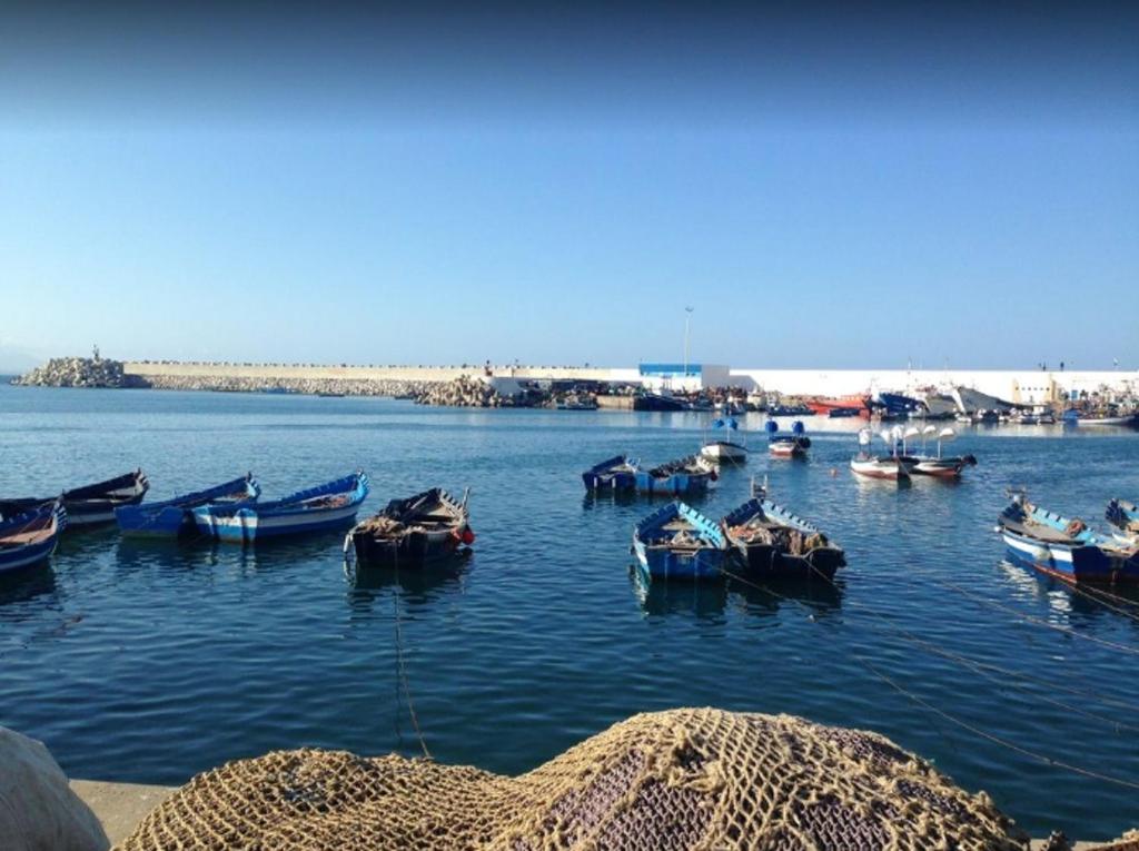 Apartment with one bedroom in Assilah with wonderful sea view shared pool and furnished garden 100 m from the beach image 6