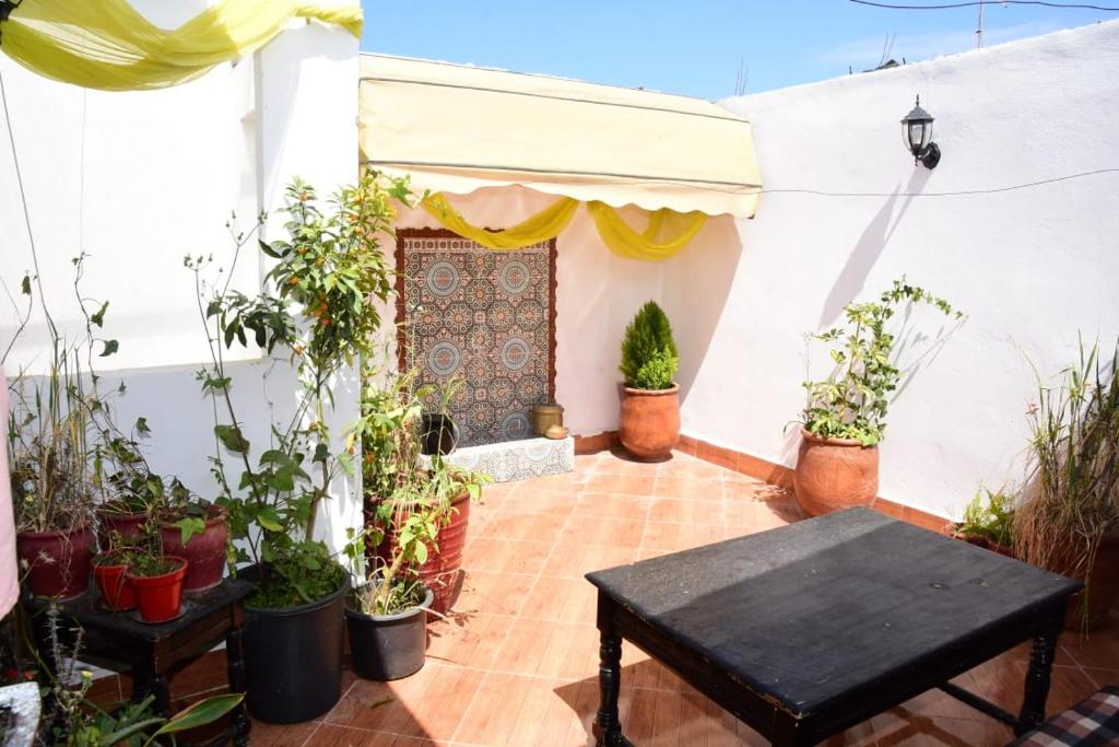 Appartement Amine image 1