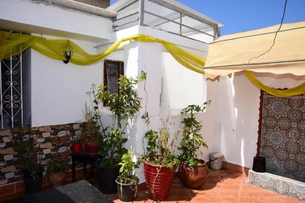 Appartement Amine image 3