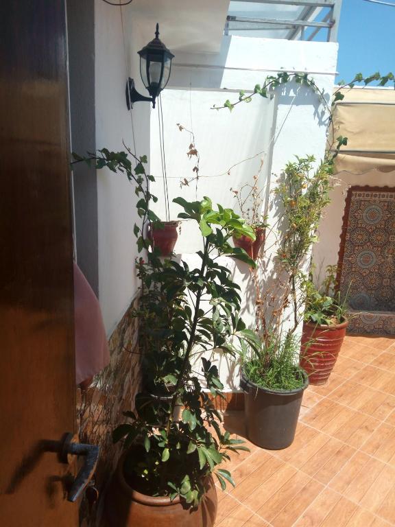 Appartement Amine image 8