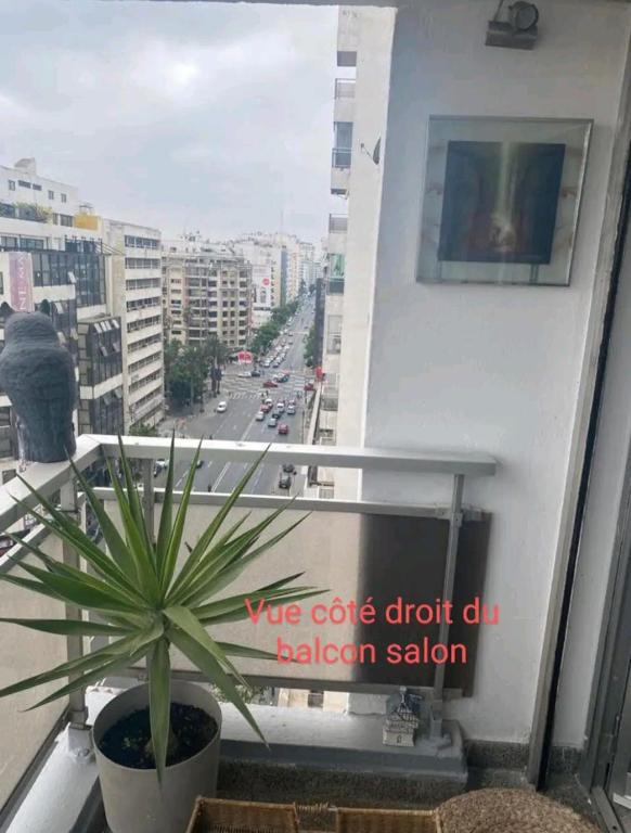 Appartement RIM image 1