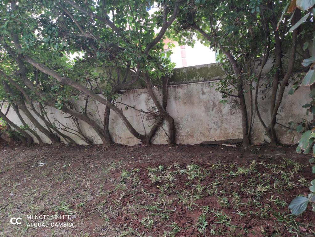 Appartement sidi Bouzid image 3