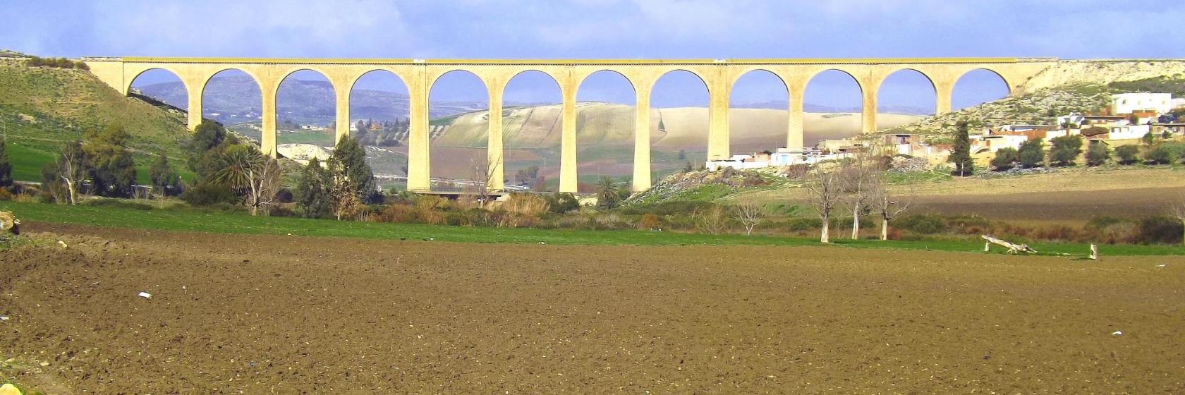 Beja