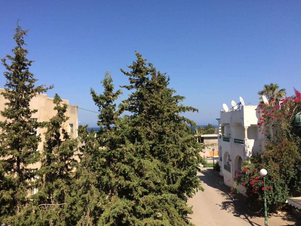 Bizerta Charly's image 3