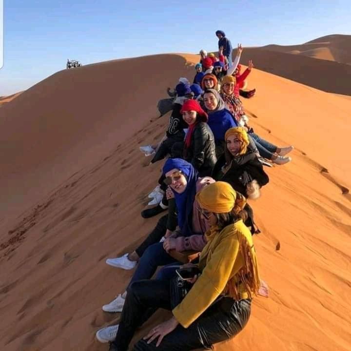 Desert Camel Trek image 0