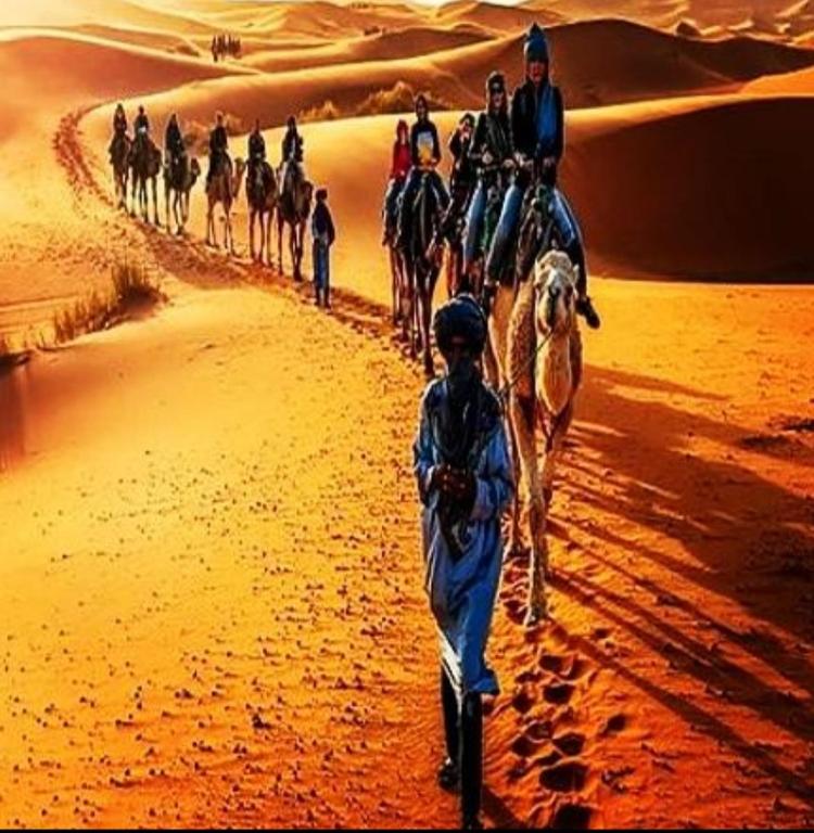 Desert Camel Trek image 5