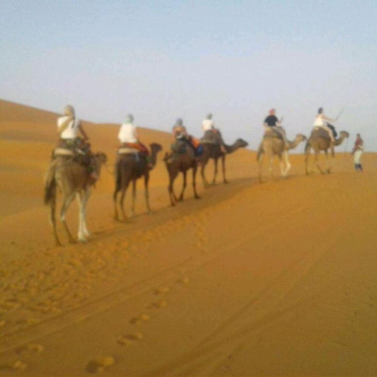 Desert Camel Trek image 6