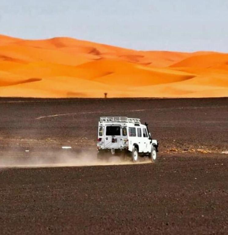 Desert Camel Trek image 7