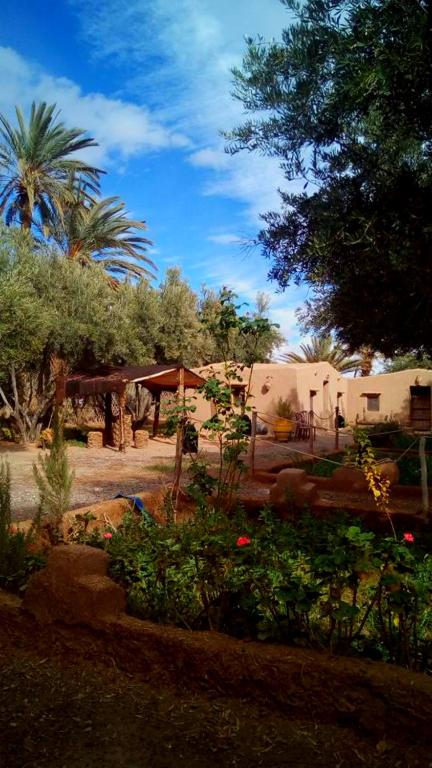 Eco-Ferme Tamalait Skoura image 2