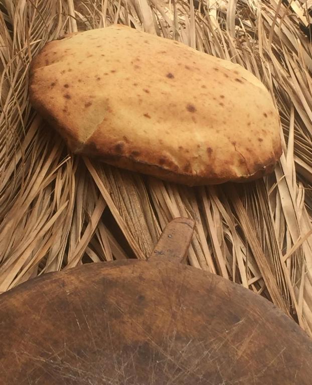 Errachidia oulad chakr image 9