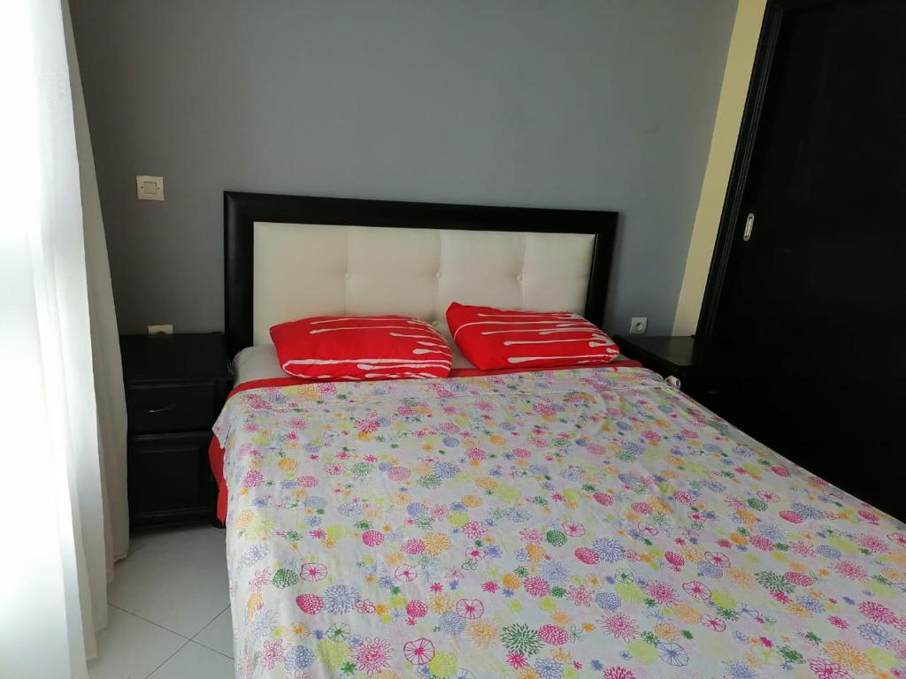 في مدينة طنجة على الكورنيش image 5