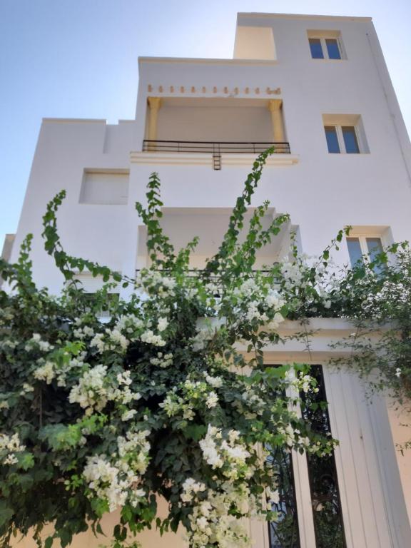 La Maison Des Oliviers image 0