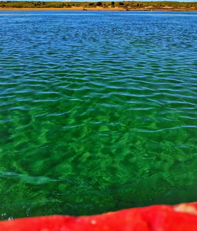 Le Lagon Bleu Oualidia image 2