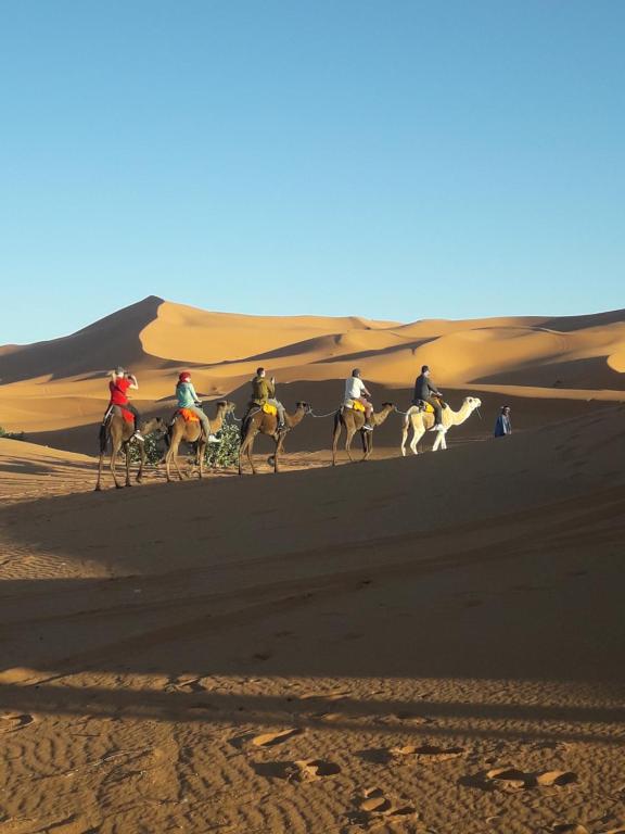 Luxury Sahara Desert Camping image 2