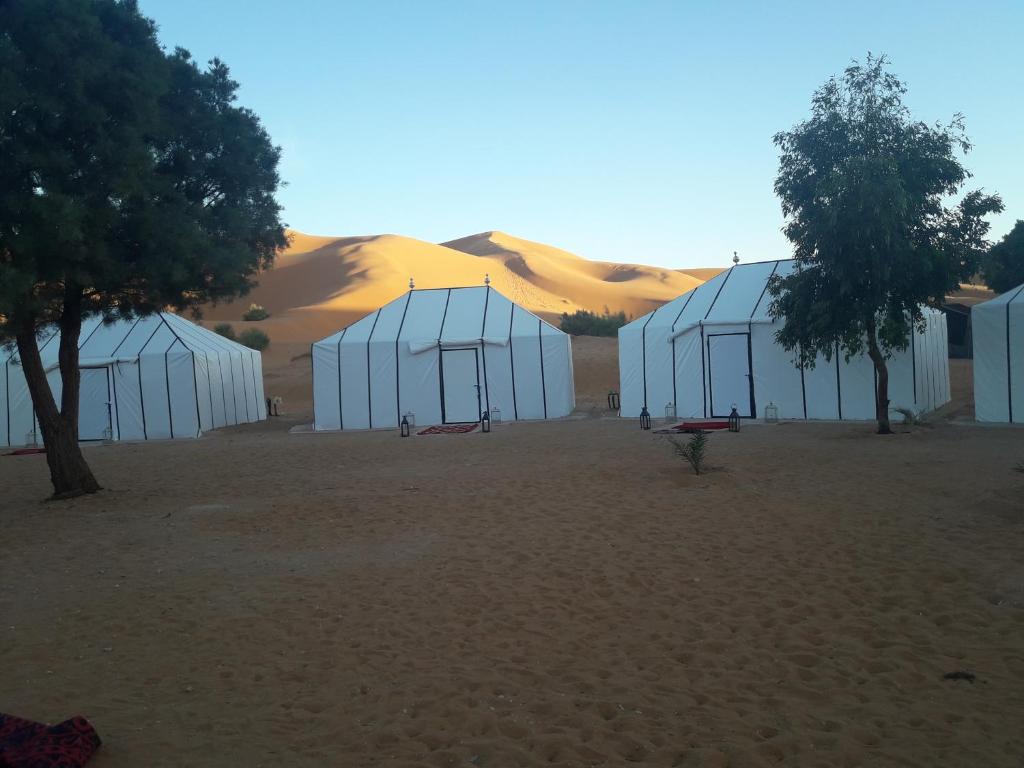 Luxury Sahara Desert Camping image 8
