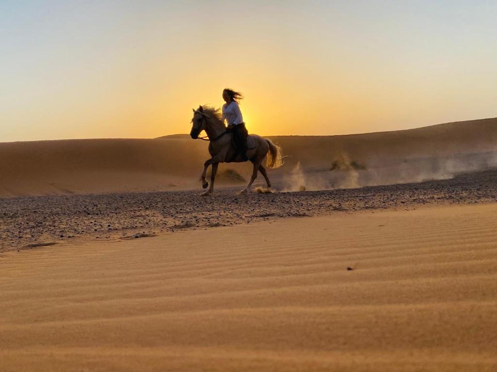 Merzouga Horses Camp