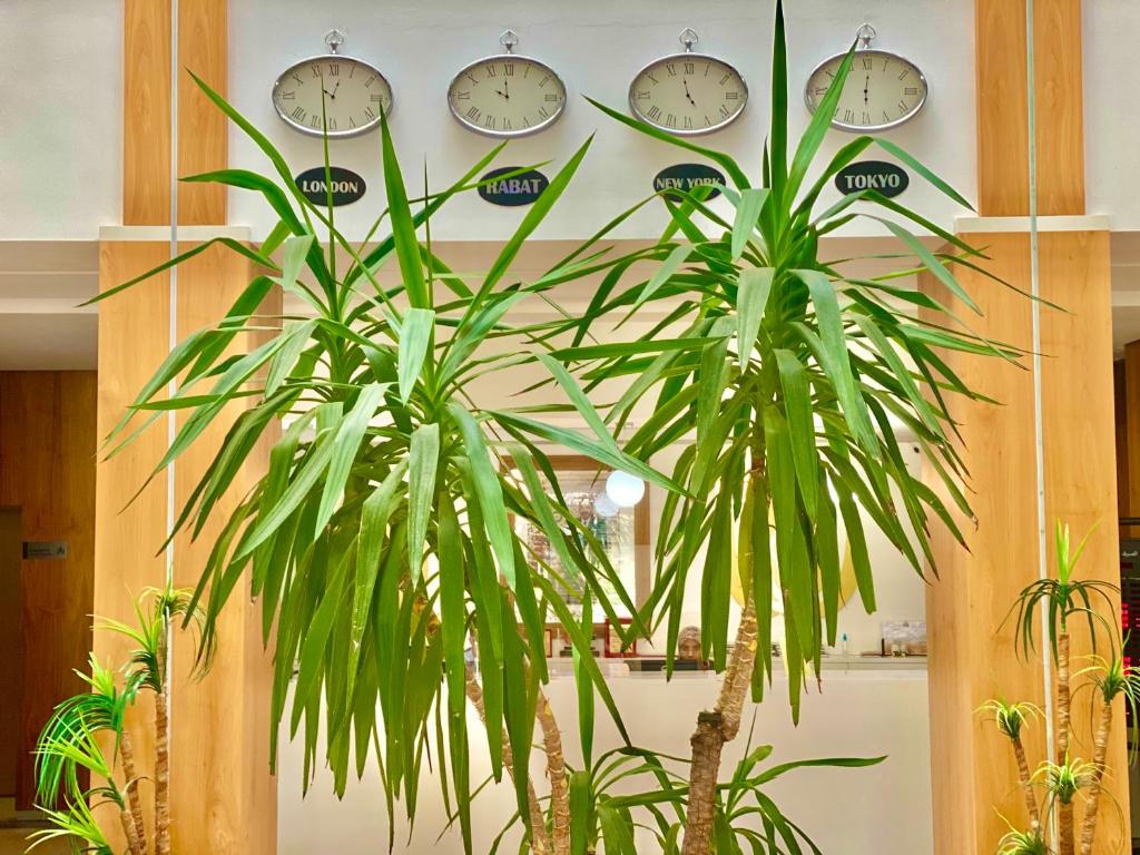 Prestige Hotel & Spa image 8