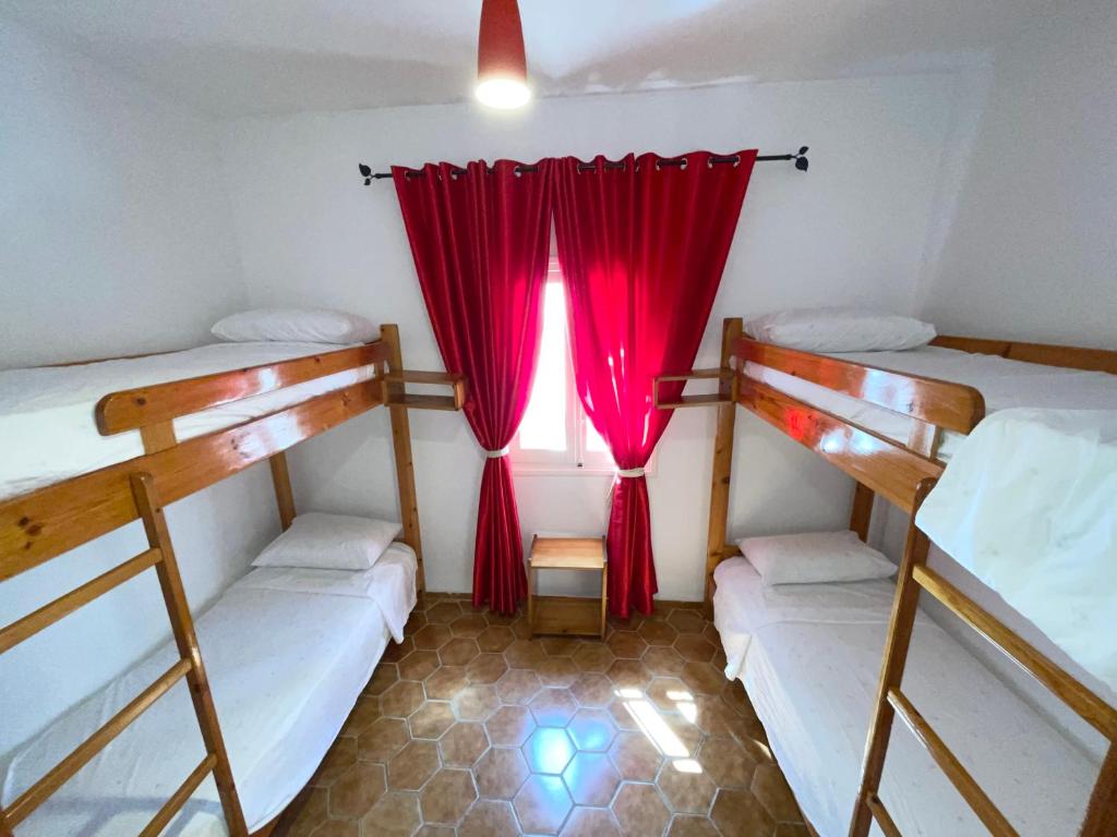 Résidence CHATT APP C3 image 2