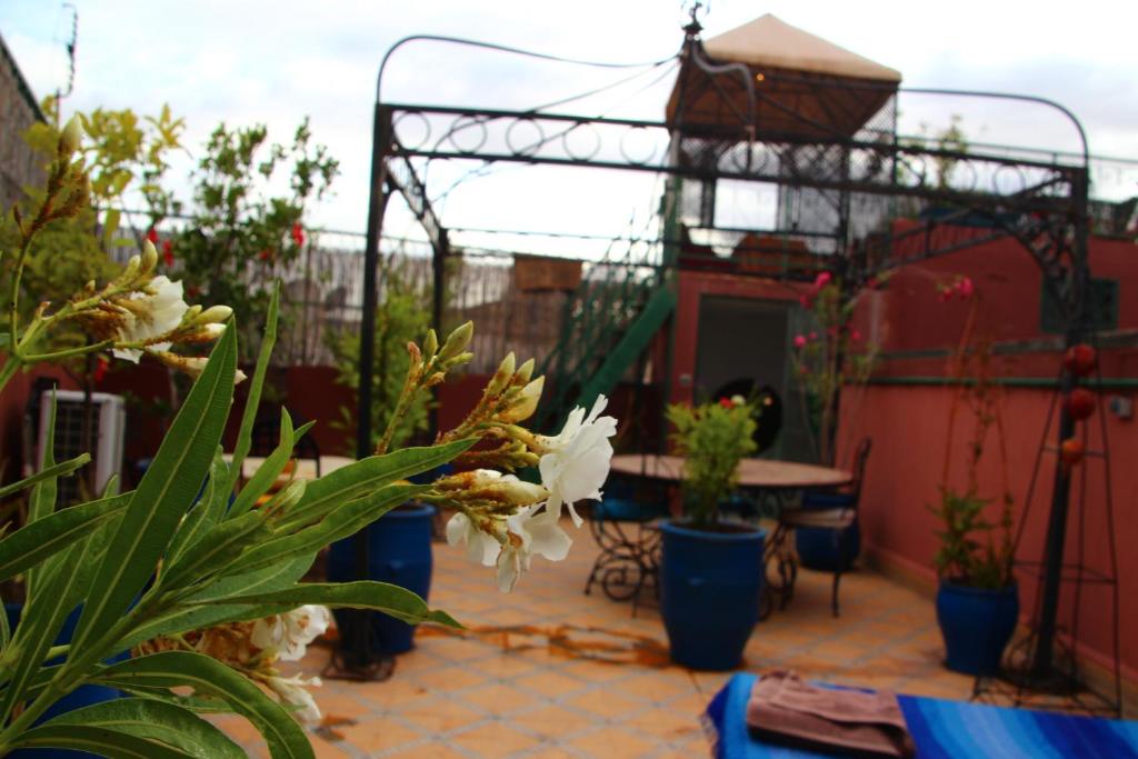 Riad Bibtia image 5