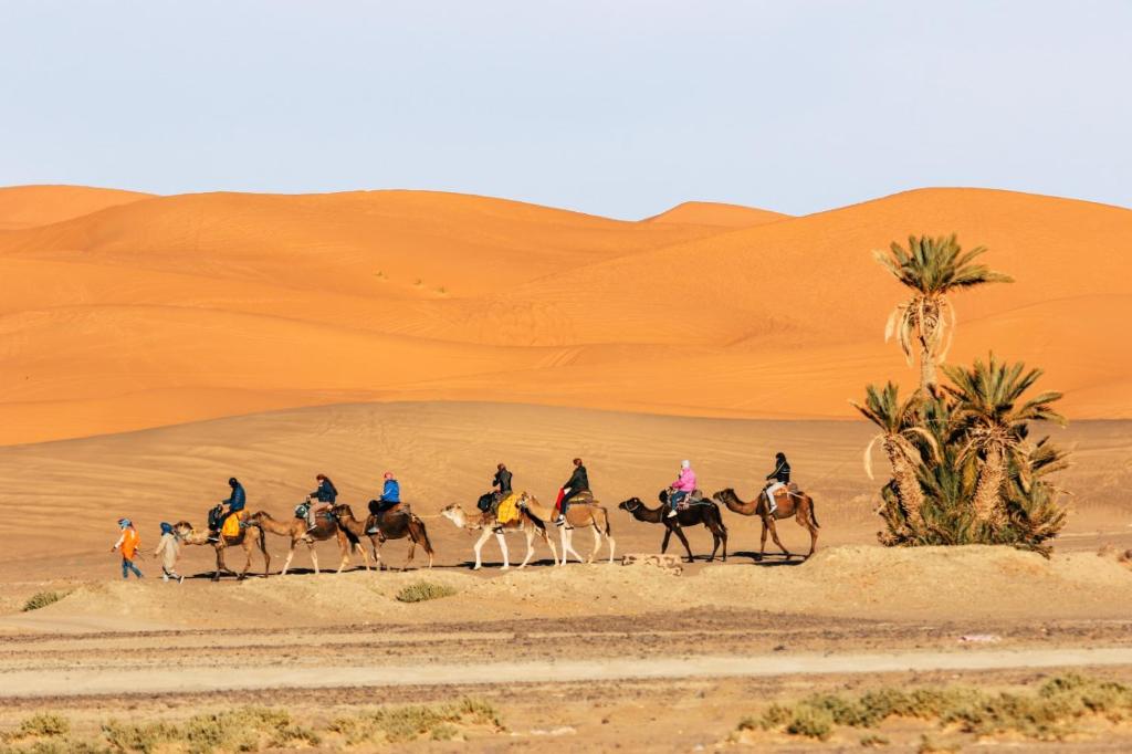 Riad Caravasar image 3