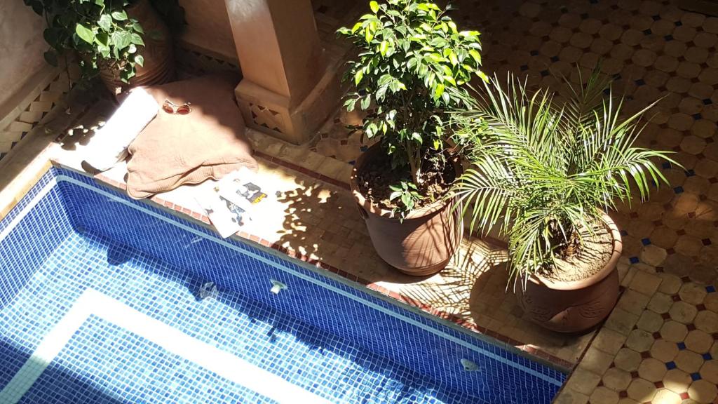 Riad Laora image 7