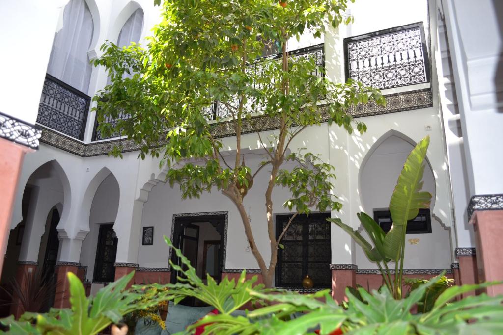 Riad le Voile d'Orient image 1