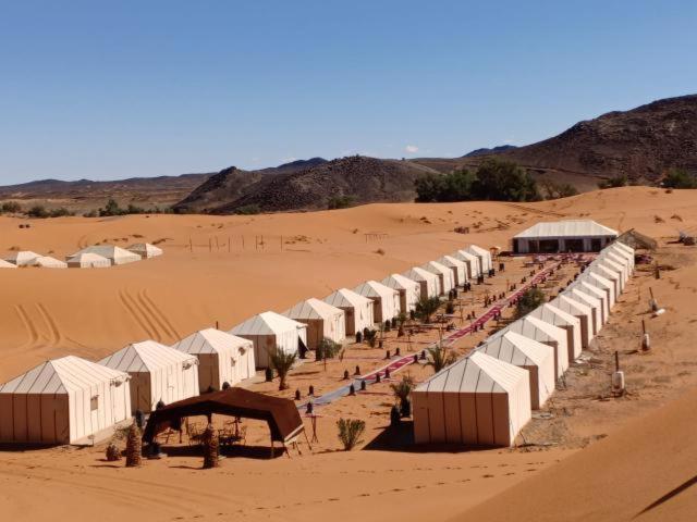 Safari Rose Luxury Camp image 4