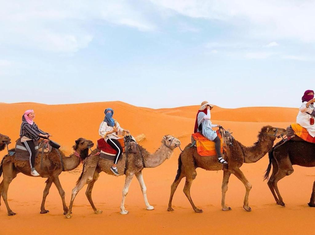 Sahara Dream Luxury Camp image 6