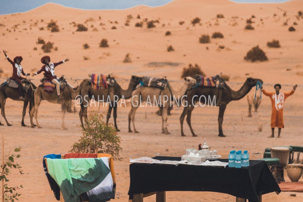 Sahara Glamping image 6