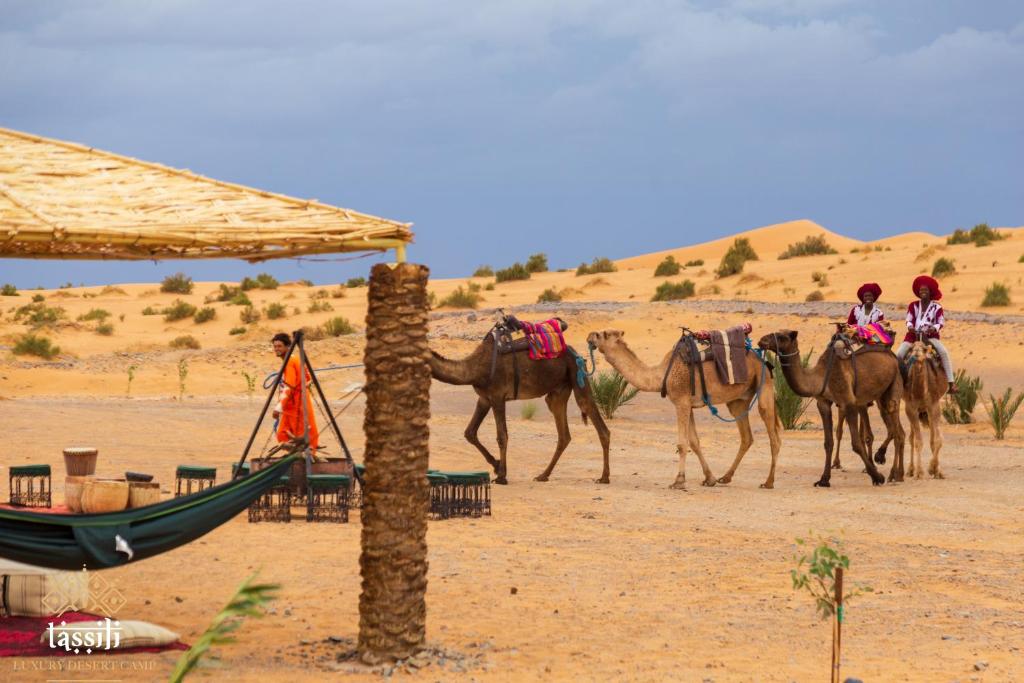 Tassili Luxury Desert Camp image 3