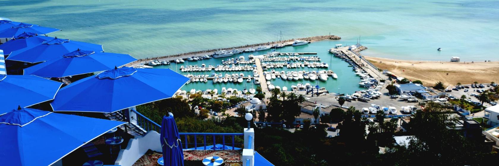 Gouvernorat de Tunis