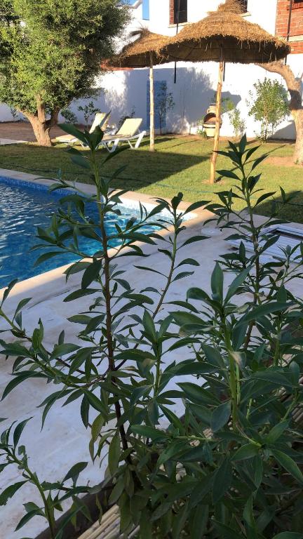 Villa Toumana Temlel image 3