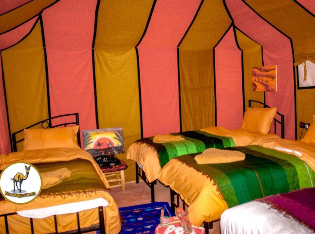 Your magic camp image 6
