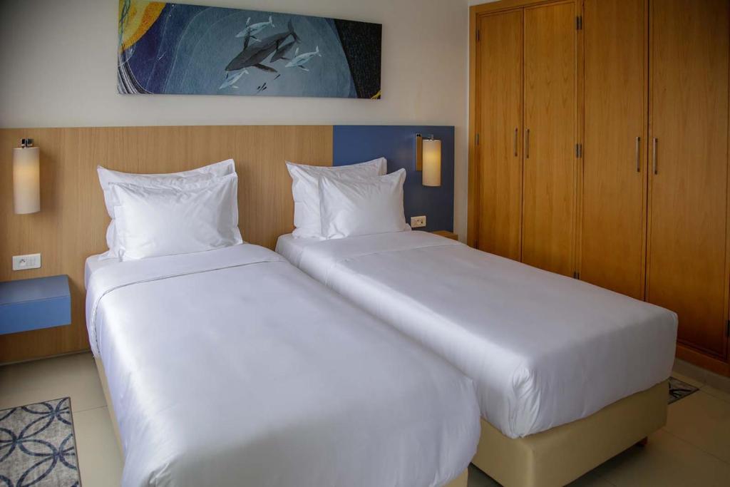 Zephyr Agadir image 8